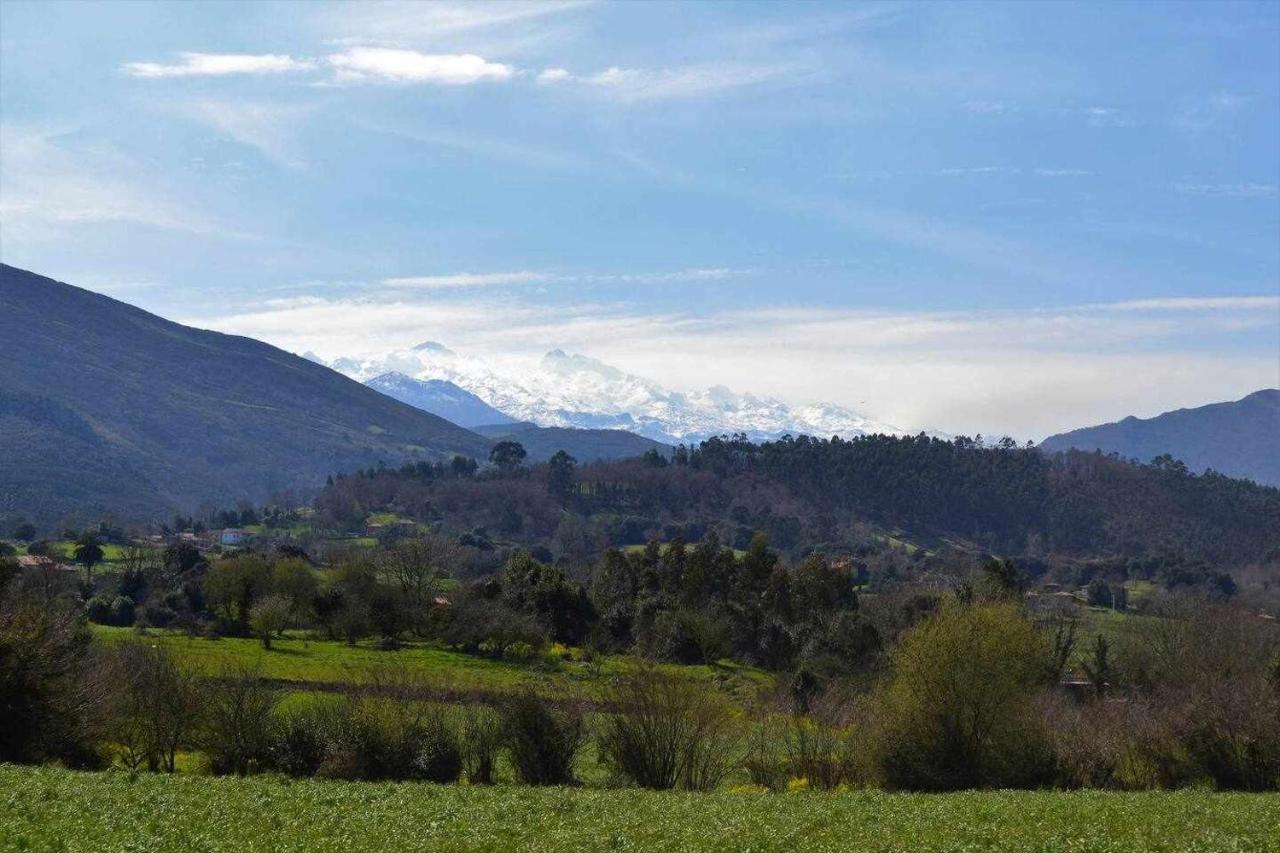 Ferienwohnung Rincon Con Piscina En Picos De Europa Onís Exterior foto